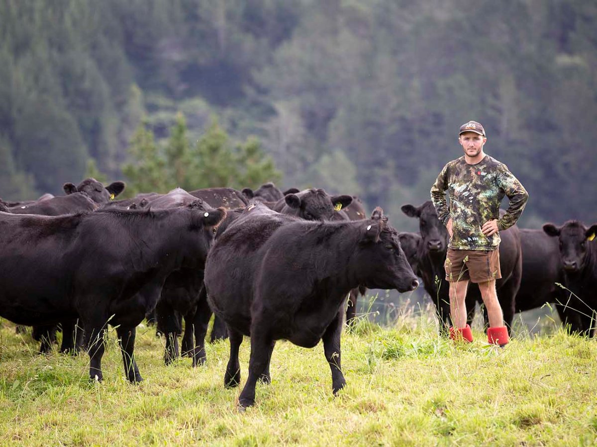 The value of using a&nbsp;Yearling